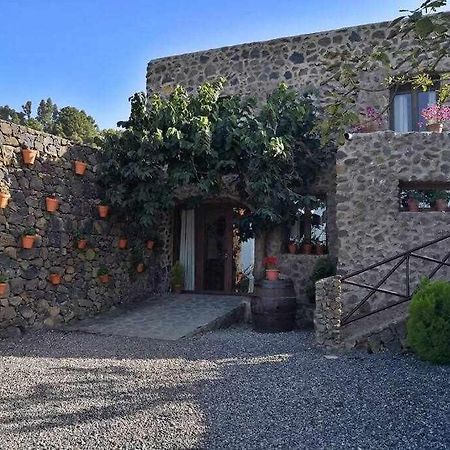 Finca Los Tamarillos Санта-Крус-де-Тенерифе Экстерьер фото