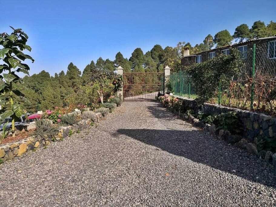 Finca Los Tamarillos Санта-Крус-де-Тенерифе Экстерьер фото